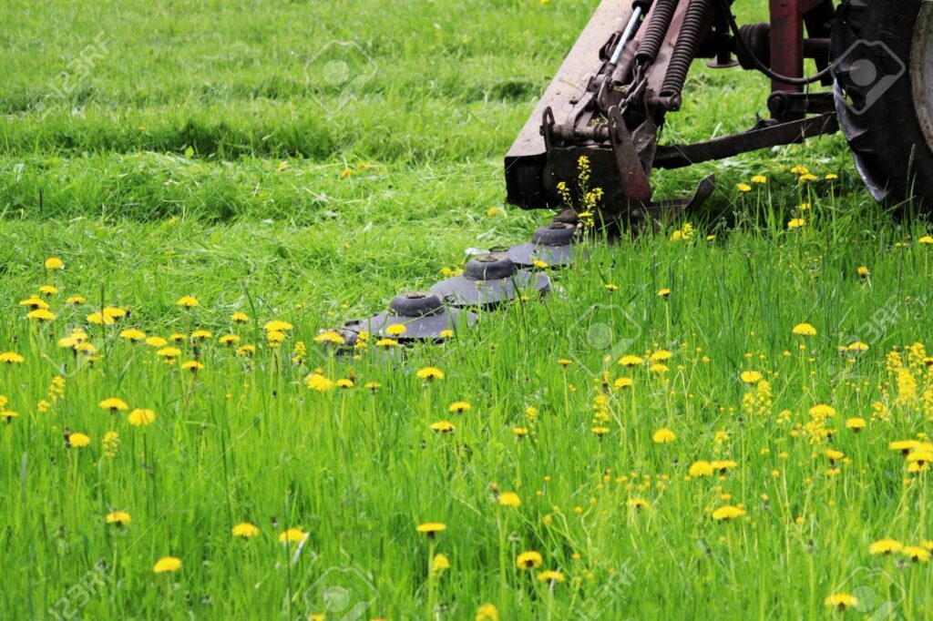 brush cutter for skid steers cutting long grass