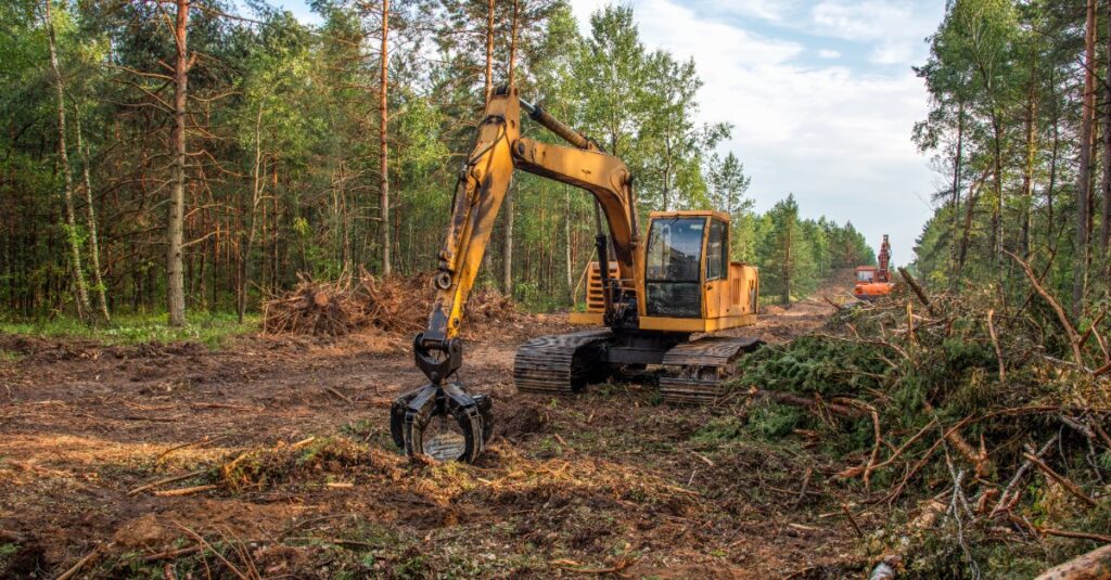 excavator forestry clearing surrounded by debris