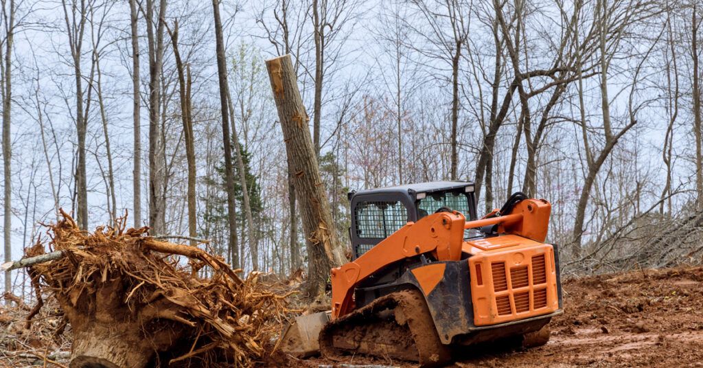 skid steer business clearing rough terrain