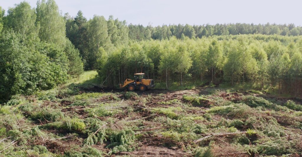 skid steer side boom mower clearing property of brush