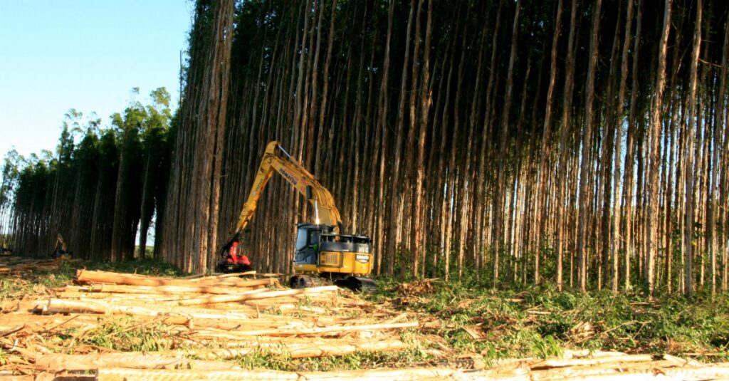 mini excavator mulcher for sale mulching trees