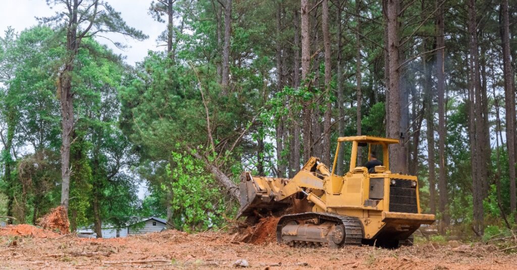 brush ctuter for skid steer clearing brush in forest