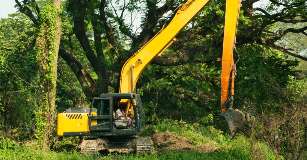 tree excavator clearing trees near pond